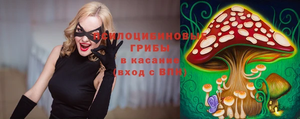 крисы Арсеньев