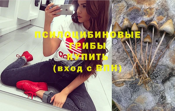 ПСИЛОЦИБИНОВЫЕ ГРИБЫ Армянск