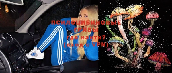 ПСИЛОЦИБИНОВЫЕ ГРИБЫ Армянск
