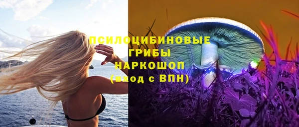 MESCALINE Аркадак