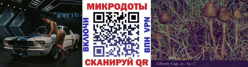 Галлюциногенные грибы Psilocybe Темрюк